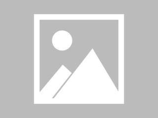 关于国内足球大赛场上名将纷纷登场，球迷热情高涨的信息